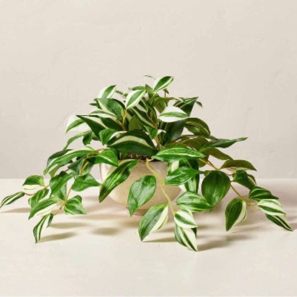 Hearth & Hand™ with Magnolia 7”x 19” Faux Veriegated Plant